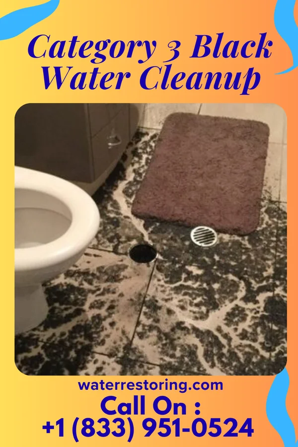 Category 3 Black Water Cleanup in Powder Springs, GA