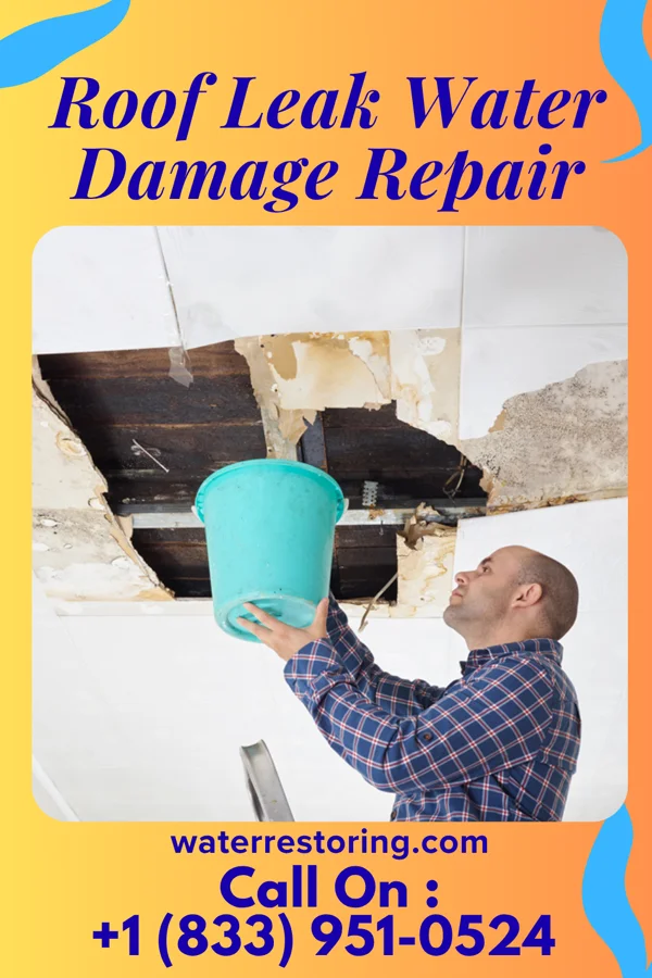 Roof Leak Water Damage Repair in Powder Springs, GA